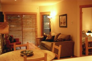 Cozy livingroom with sofabed