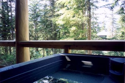 Private hot tub on the deck with Mother Nature at your doorstep