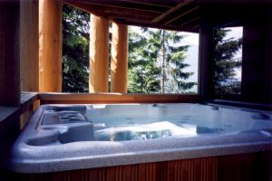 Deluxe hot tub on lower deck